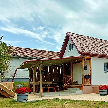 Lebego Falu Vendeghaz Oroszlány Esterno foto